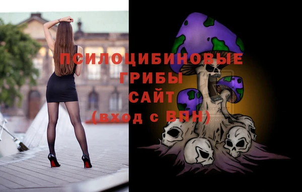 соль ск Богородицк