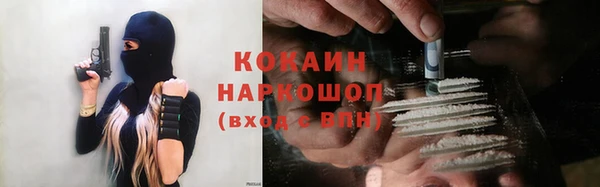 соль ск Богородицк