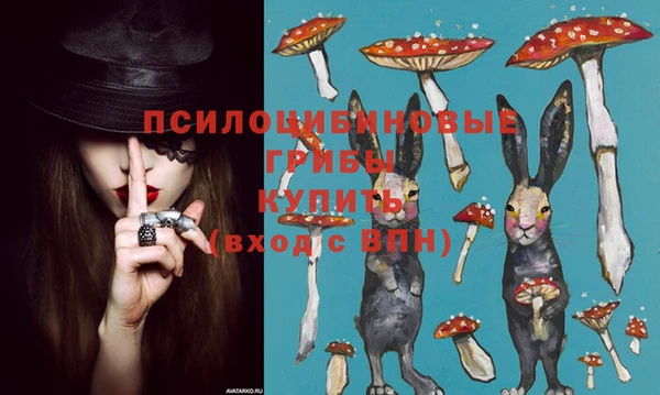 индика Белокуриха