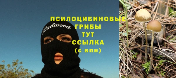 альфа пвп Богданович