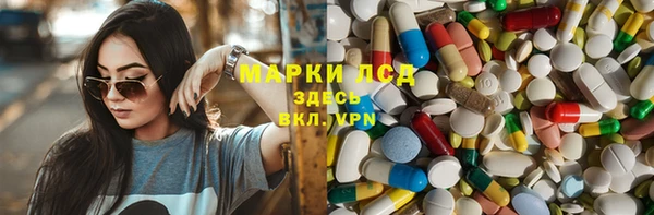 индика Белокуриха