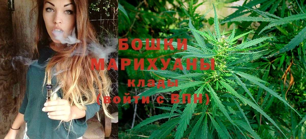 соль ск Богородицк